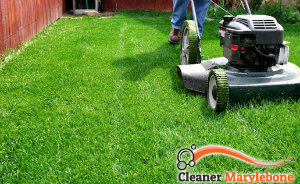 lawn-mowing-services-marylebone