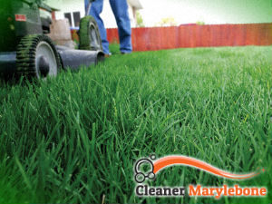 grass-cutting-services-marylebone