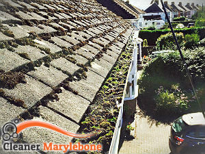 gutter-cleaning-marylebone